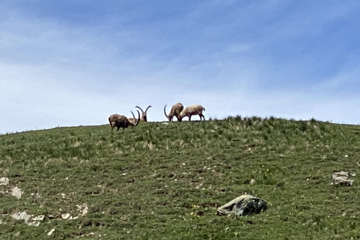 Locanda Mistral, Valle Maira, Piemont - Percorsi Occitani