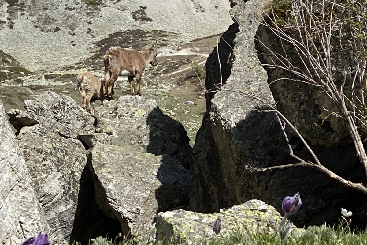 Locanda Mistral, Valle Maira, Piemont - Percorsi Occitani
